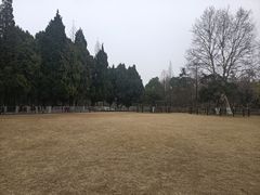 -瀛洲公园