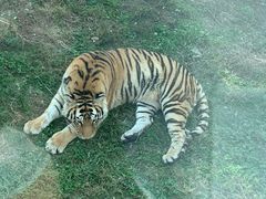 -西安秦岭野生动物园