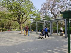 -玲珑塔公园