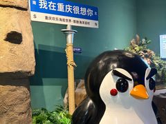 -重庆欢乐海底世界