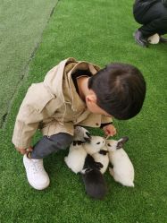 -萌宠亲子动物乐园(槐房万达店)