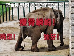 -哈尔滨北方森林动物园