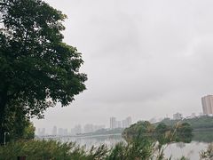 -南宁南湖公园