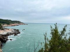 -广东惠东海龟国家级自然保护区
