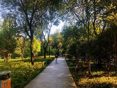 -唐城墙遗址公园