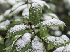 -湘约爨厨(太白立交店)
