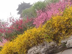 -济南大明湖景区