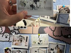 -汪说·狗咖·拼豆·宠物周边DIY(旺城大厦店)
