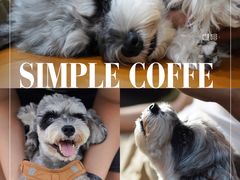 -Infica Coffee