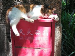 -巴金故居