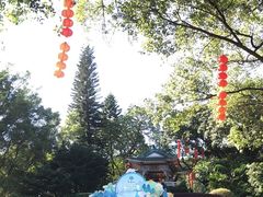 -广州市白云山风景名胜区