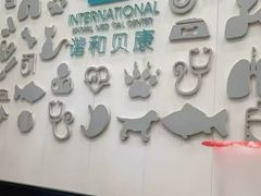 -谐和贝康宠物医院24小时·宠保定点(急重症转诊中心)