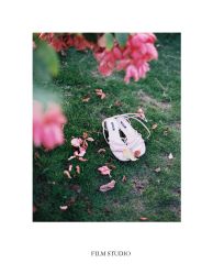 -菲林婚纱摄影工作室