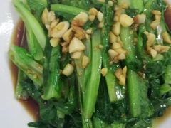 -锦粤宫·精致粤菜(深圳北站店)