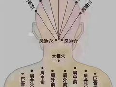 -广州绿地中央广场