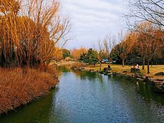 -上海滨江森林公园