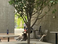 -大小咖啡 BigSmallCoffee(麦子店)