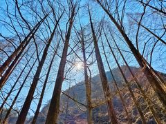 -五泄景区