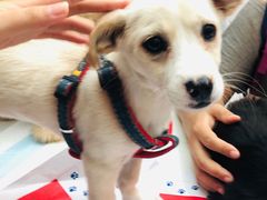 -万达广场(南京江宁店)