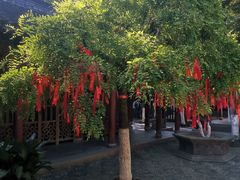 -寒山寺
