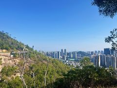 -板樟山森林公园