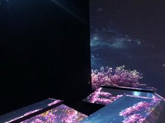 -火影忍者动画多媒体展