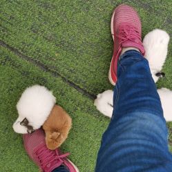 -萌宠亲子动物乐园(槐房万达店)