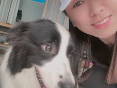 -上海潜殿潜水中心