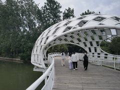-同里国家湿地公园