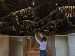 -世界恐龙谷景区