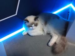 -零纪元VR体验馆·桌游(黄浦店)