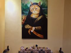 -猫色咖啡·猫咖