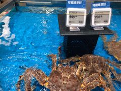 -盒马鲜生(领丰汇店)