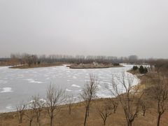 -东郊湿地公园