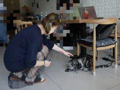 -平行世界·猫咖(首经贸店)