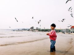 -老虎石海上公园