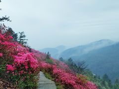 -木兰云雾山