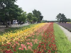 -富田农场