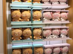-KAKAO FRIENDS(弘大店)