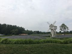 -北京东方普罗旺斯薰衣草庄园