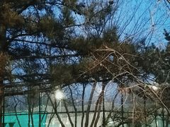 -回龙观体育文化公园
