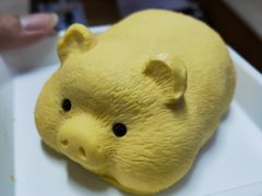 -维尔纳斯·生日蛋糕动物奶油冰淇淋蛋糕(人大店)