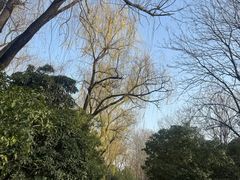 -洛阳市隋唐城遗址植物园