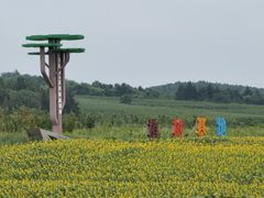 -莲花山花海