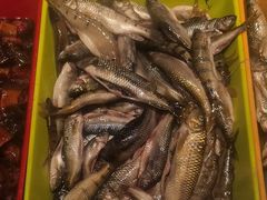 -头上红煨盐鸡·非遗院子餐厅