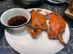 -1937青岛老味道·海肠捞饭·青岛菜(大鲍岛栈桥店)