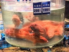 -望海湾鱼头泡饼·天津菜(空港店)