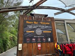 -怀托摩萤火虫洞