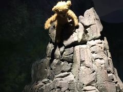 -成都泰迪熊博物馆