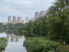 -重庆彩云湖湿地公园